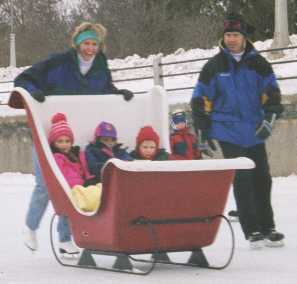 Rent a sled and bring the family